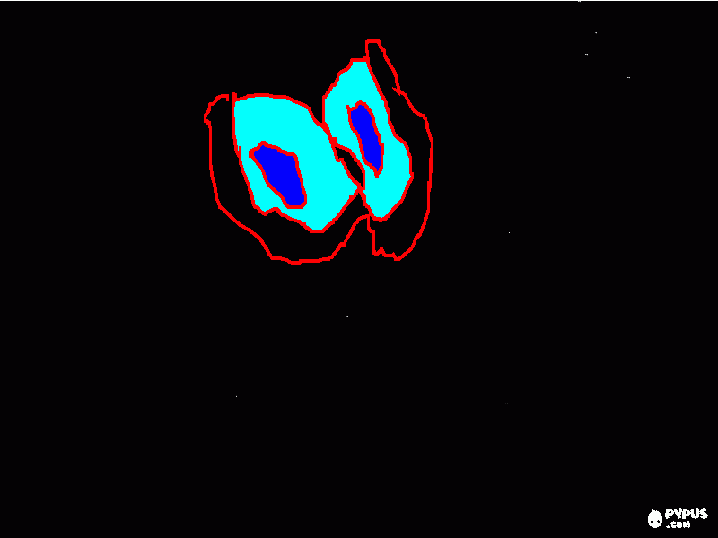 Ojos Con Lentes Para Colorear Ojos Con Lentes Para Imprimir