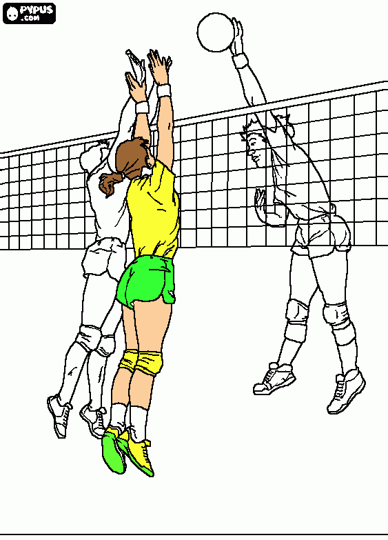 Voley Para Colorear Voley Para Imprimir