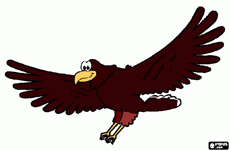 aguila harris para colorear