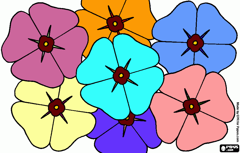 amapolas para colorear