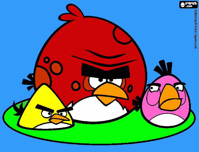 angry biords para colorear