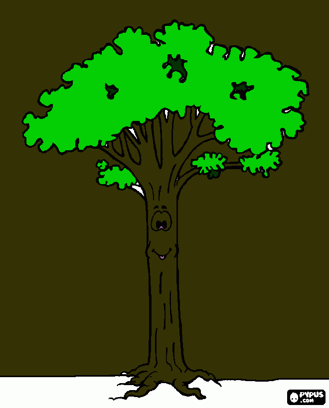 arbol alto para colorear