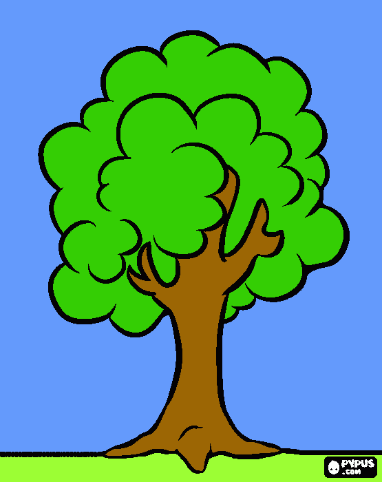 arbol cte para colorear