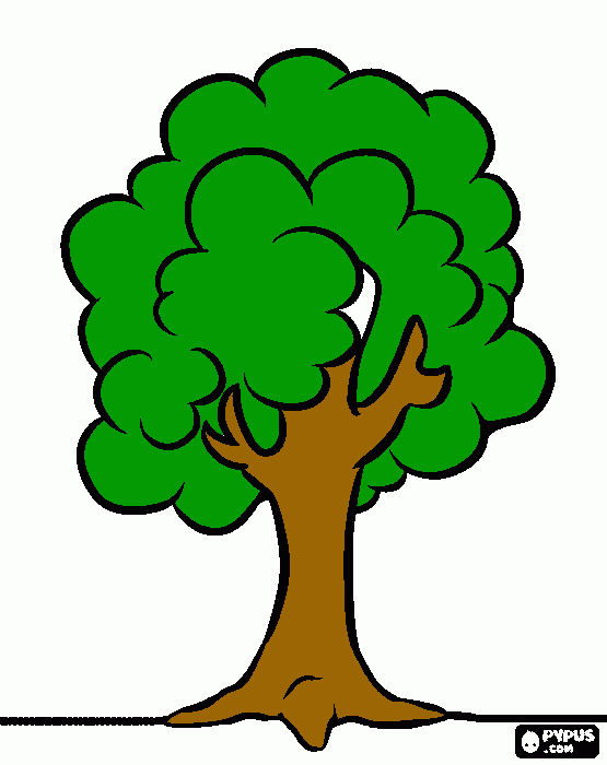 arbol x mexicali para colorear