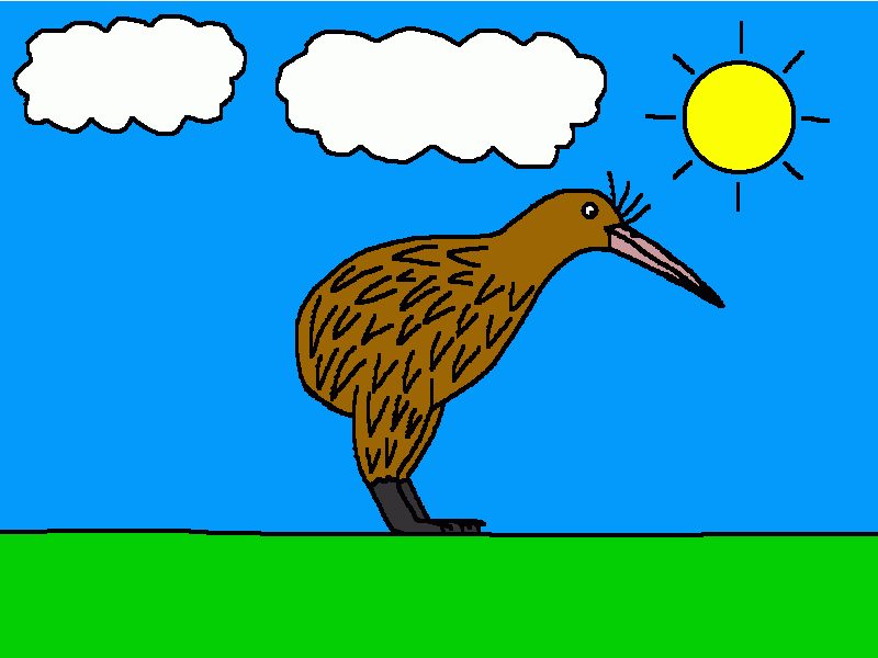 ave kiwi para colorear