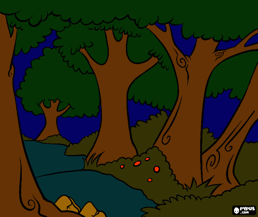 bosque encantado para colorear