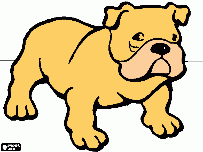  bulldog para colorear