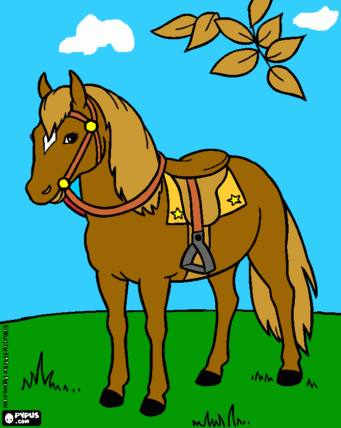 Caballito de Santi para colorear