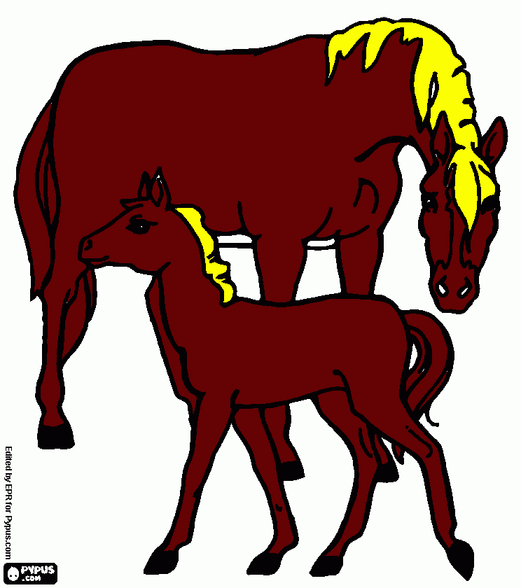 caballo con su cria para colorear