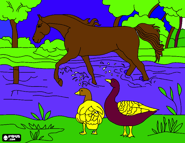 caballo rìo para colorear