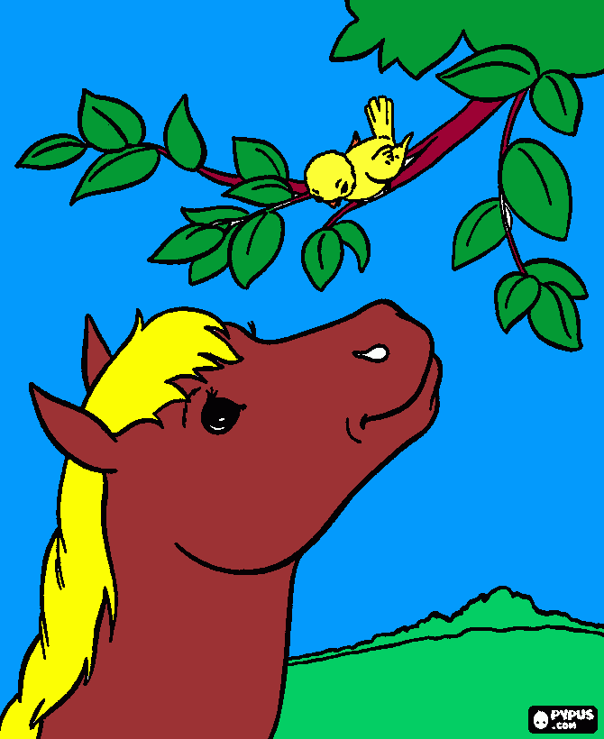 caballos y pajarito para colorear