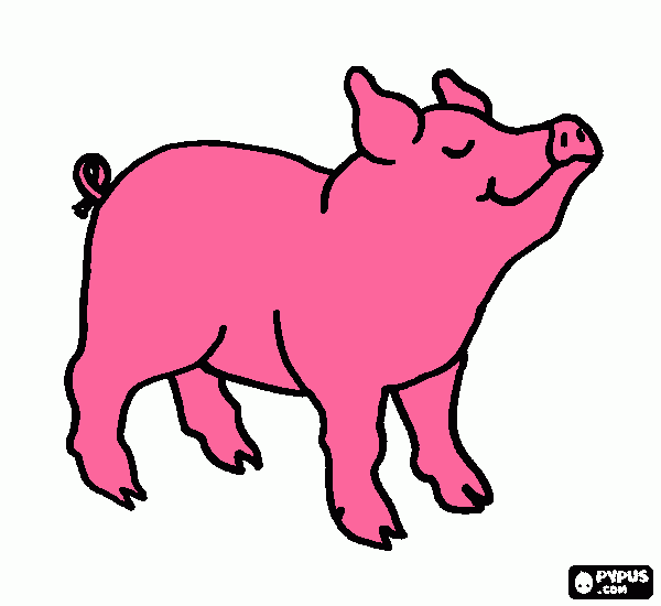 Chanchito rosa para colorear