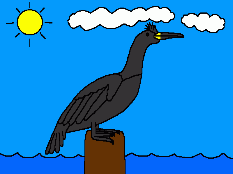 cormorán moñudo para colorear