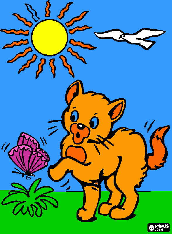 De un gatito que se asusto al ver a la mariposa con un sol muy lindo y una paloma volando y un pasto floreciendo  para colorear