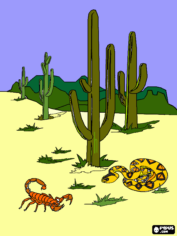 desierto de sonora con los famosos cactus saguaro para colorear