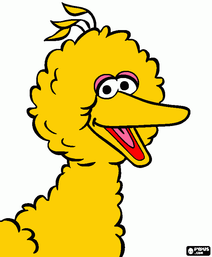 dibujo big bird para colorear