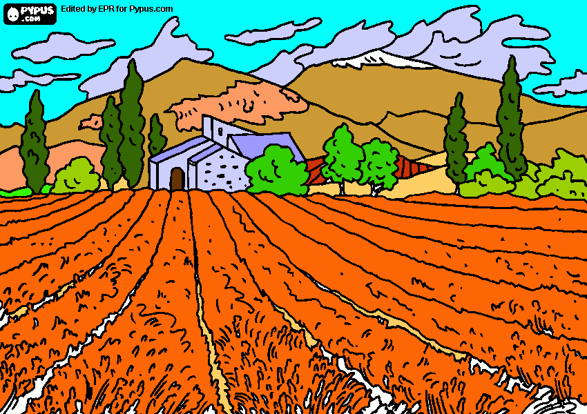 dibujo naturaleza para colorear