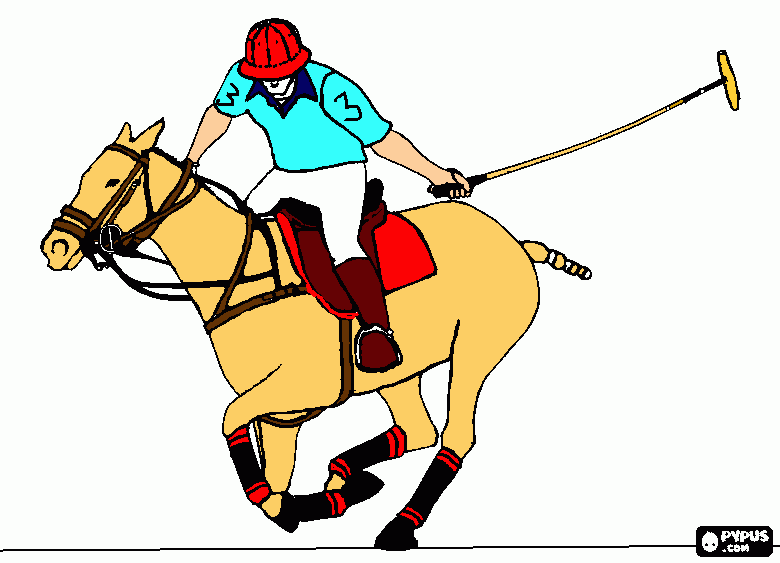 dibujo polo para colorear