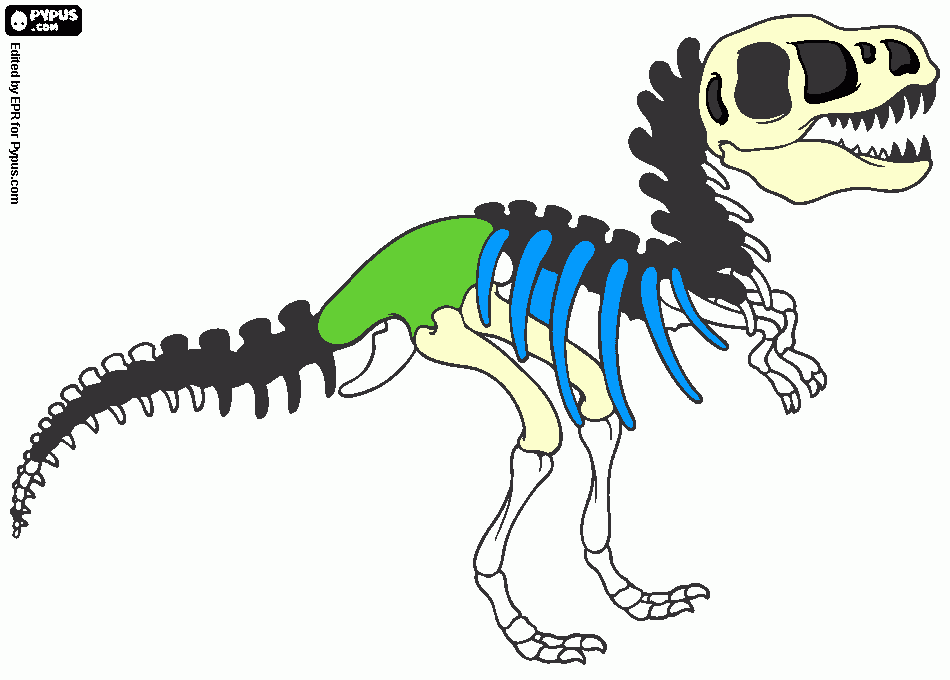 dinosaurio  feroz esqueleto para colorear