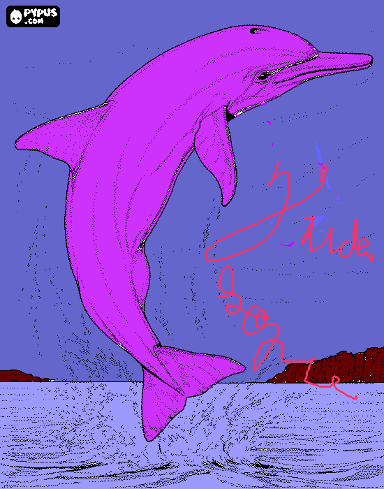 dolphin para colorear