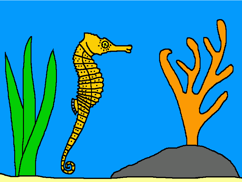 el caballito de mar para colorear