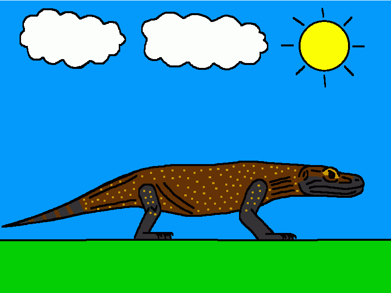 el dragón de Komodo para colorear