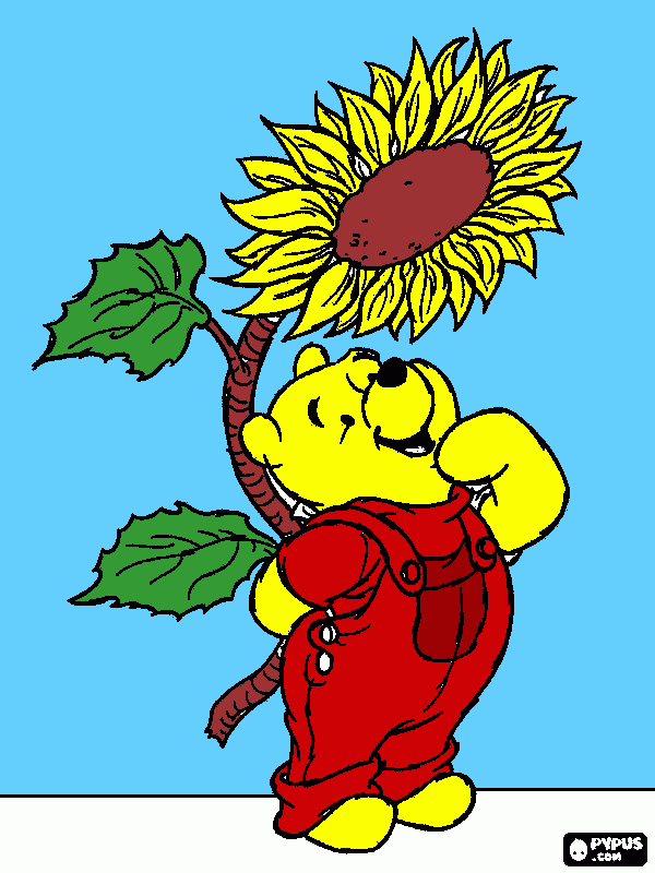 el girasol para colorear