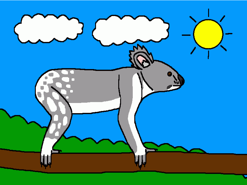 el koala para colorear