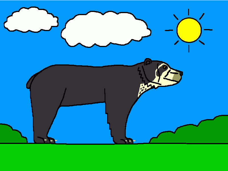 el oso de anteojos para colorear