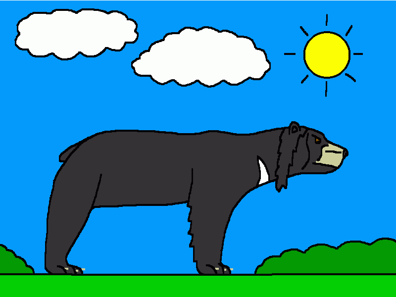 el oso negro asiático para colorear