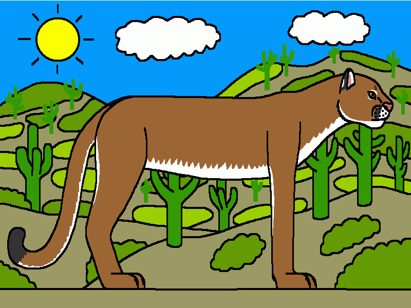 el puma en el paisaje con cactus para colorear