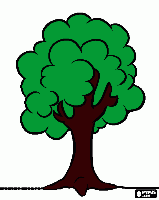 es un arbol para colorear