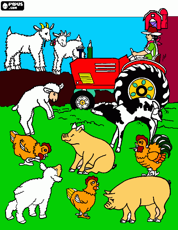 es una graja de animales para colorear