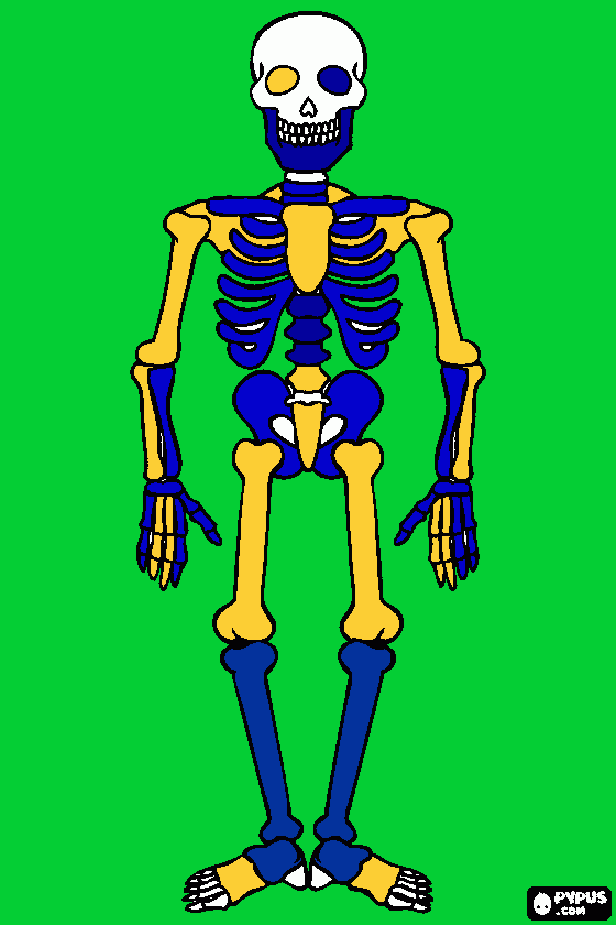 ESQUELETO BOSTERO para colorear