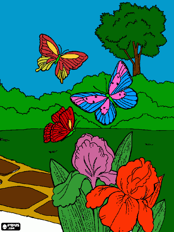 estas mariposas son muy bonitas como tu para colorear