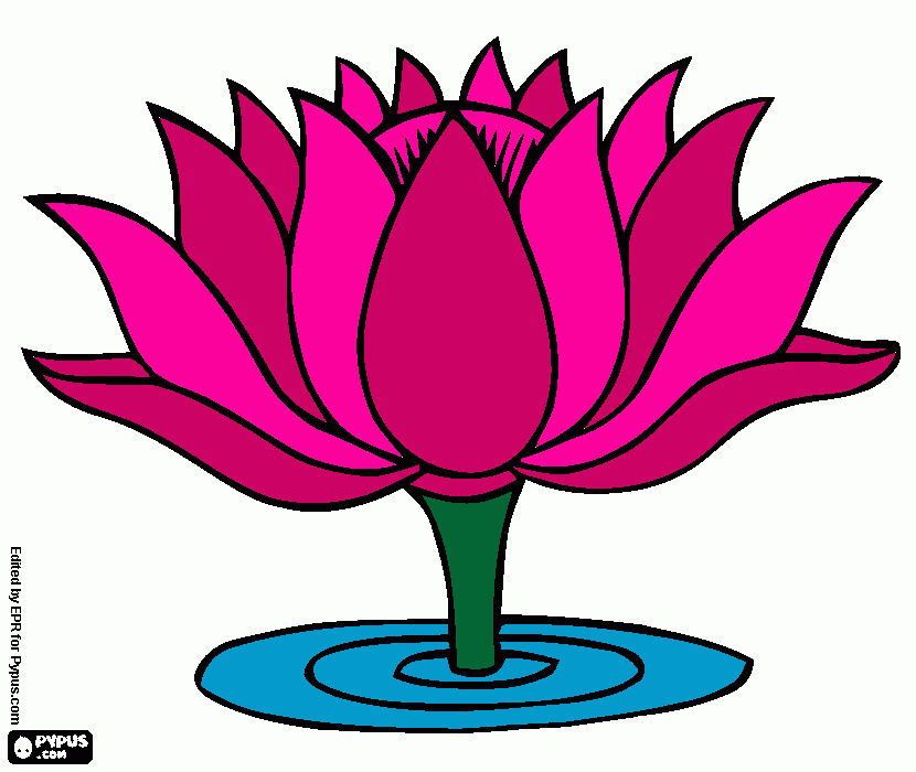 estoy biendo una flor linda para colorear