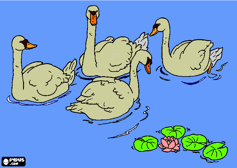 familia cisne para colorear