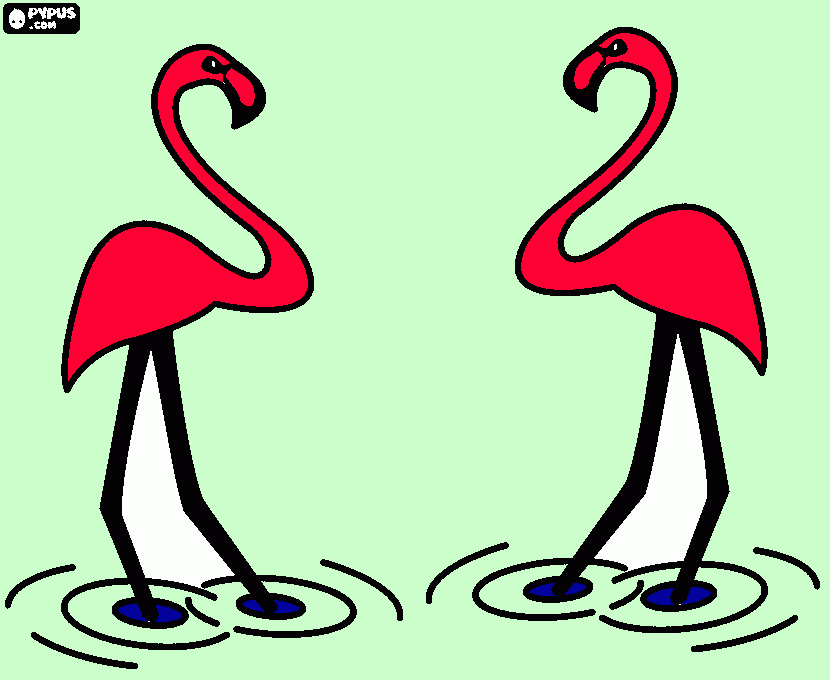 flamingos para colorear