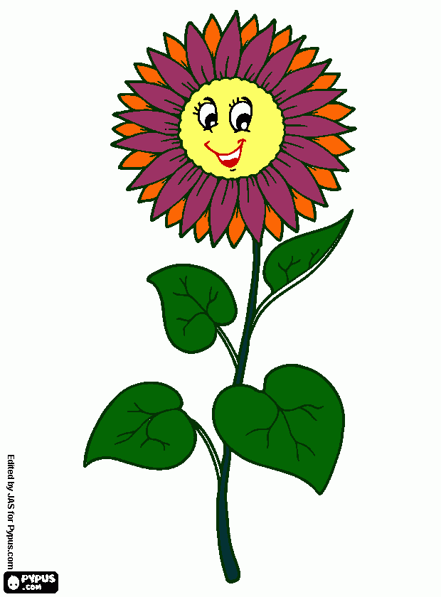 flor chuli para colorear