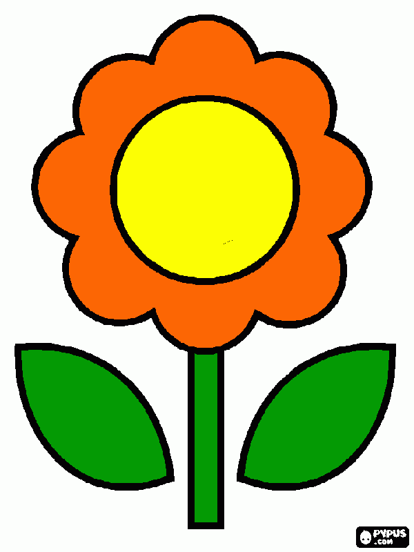 flor naranja para colorear