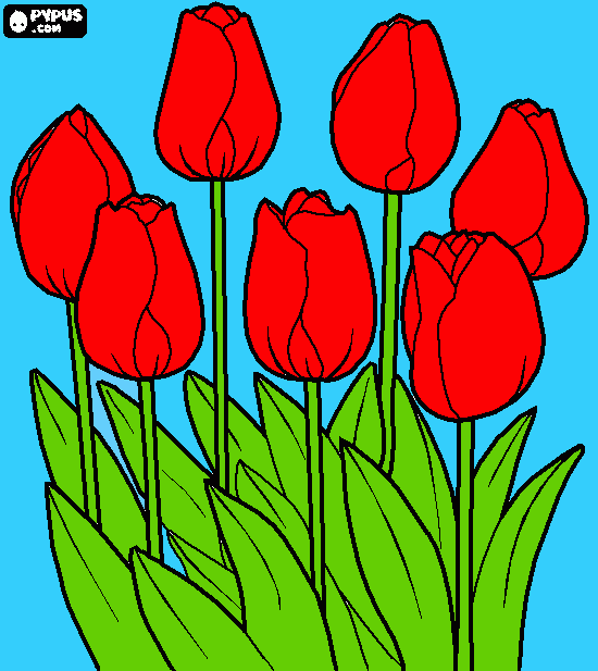 flor tulipa para colorear