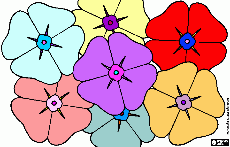 Flores de amapola para colorear