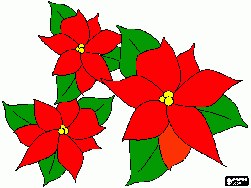 flores de navidad para colorear para colorear