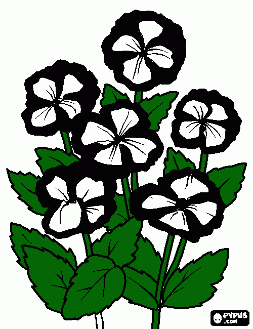 flores elementales, estas flores solo nacen en un eclipse, representan en yin yang por eso su color blanco y negro  para colorear