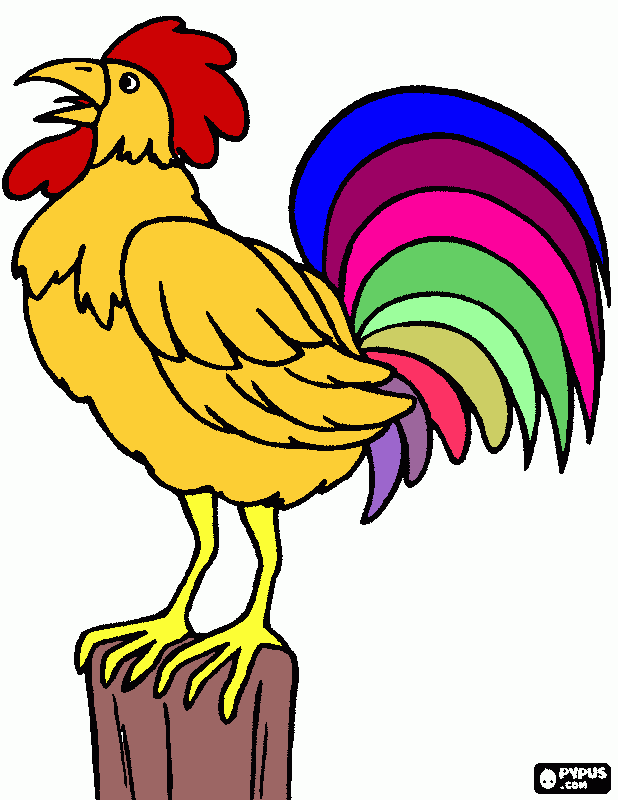 Gallito para colorear