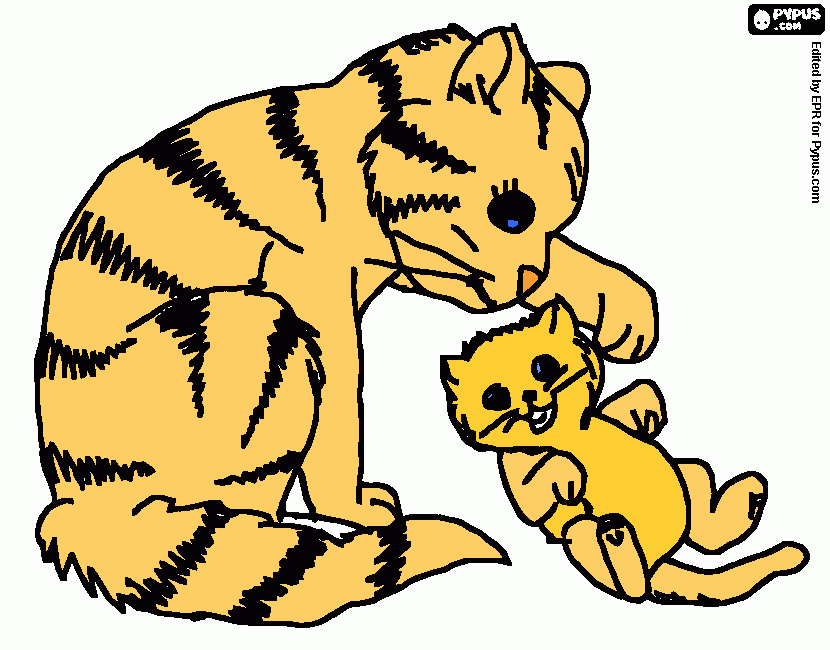 Gatito bebe 1 para colorear