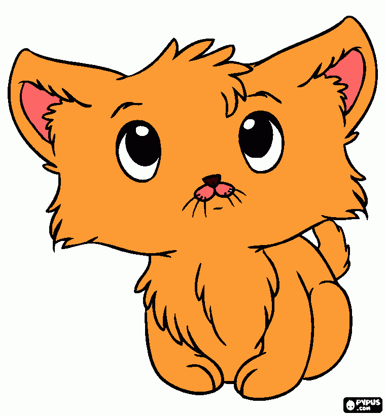 gatito cafe para colorear