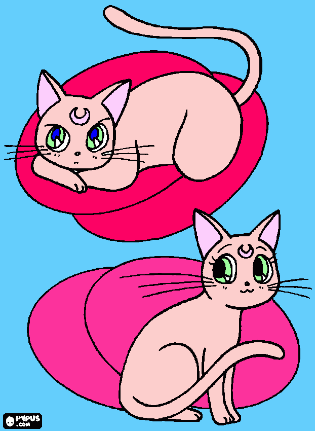 gatitos de ANIME para colorear