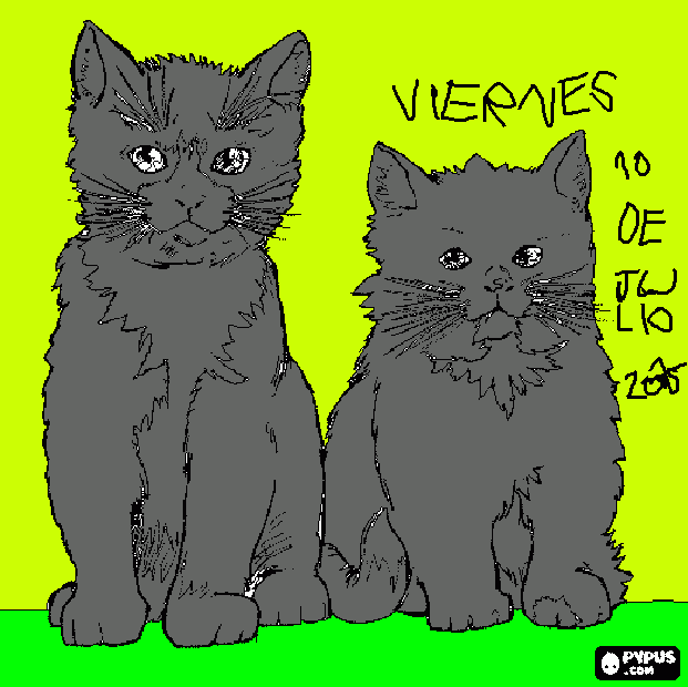 gato    y     gata para colorear