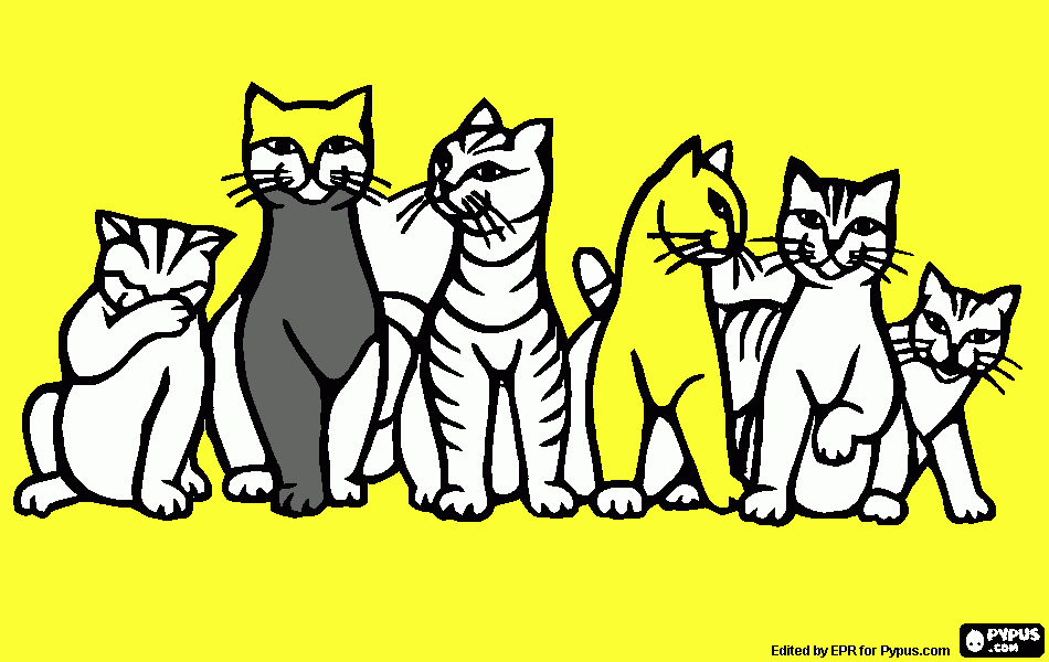 gatos pintar por pc para colorear